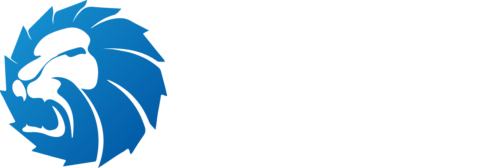 Z-Lion — Diamond Technology
